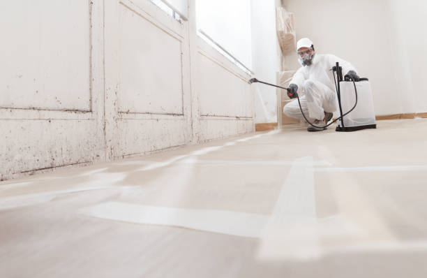 24/7 Emergency Mold Remediation experts in Lyndhurst, VA